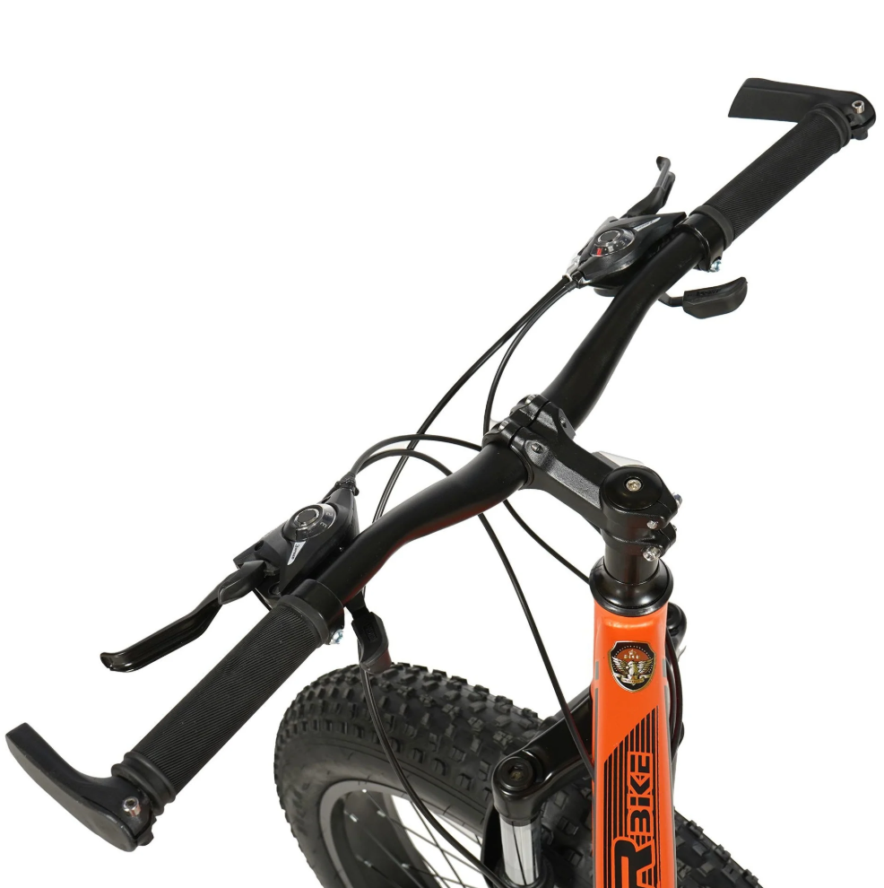 ASTER 26 Inches 21 Gear Steel Frame Mountain Bicycle