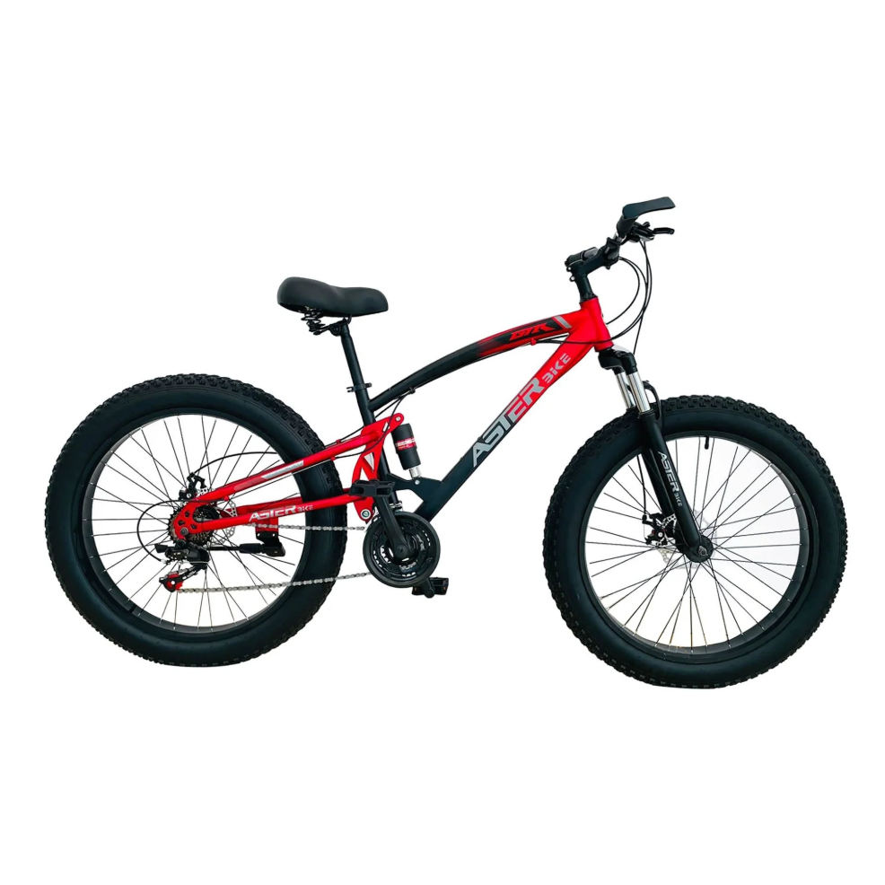 ASTER 26 Inches 21 Gear Steel Frame Mountain Bicycle