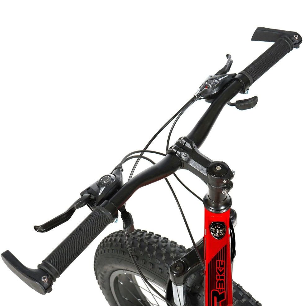 ASTER 26 Inches 21 Gear Steel Frame Mountain Bicycle