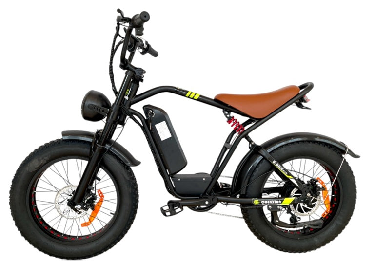 GIGILHUB S1 Fat Tires E-Bike with 5 Speed Shimano Gears