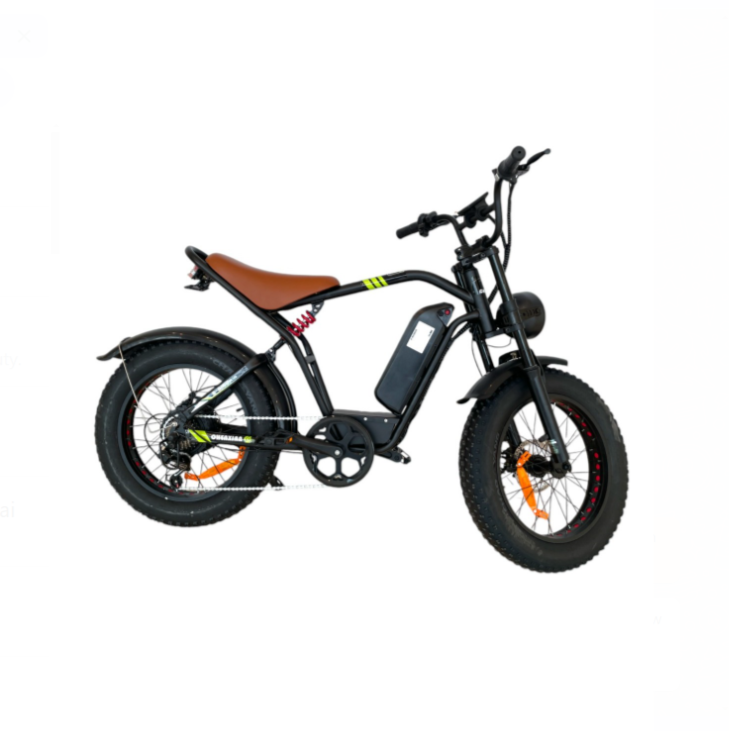 GIGILHUB S1 Fat Tires E-Bike with 5 Speed Shimano Gears