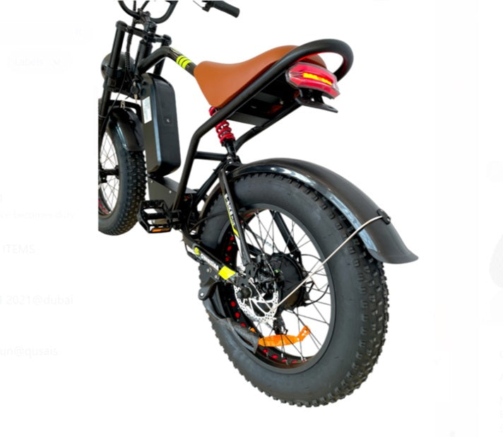 GIGILHUB S1 Fat Tires E-Bike with 5 Speed Shimano Gears