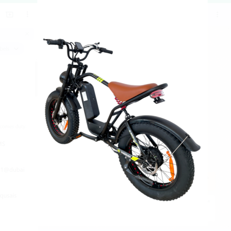 GIGILHUB S1 Fat Tires E-Bike with 5 Speed Shimano Gears