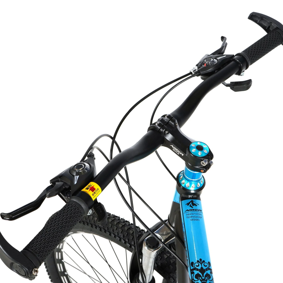 ASTER 29 Inches 21 Gears Slim Tires Bicycle