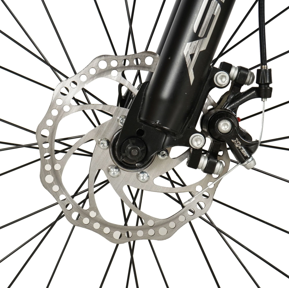 ASTER 29 Inches 21 Gears Slim Tires Bicycle