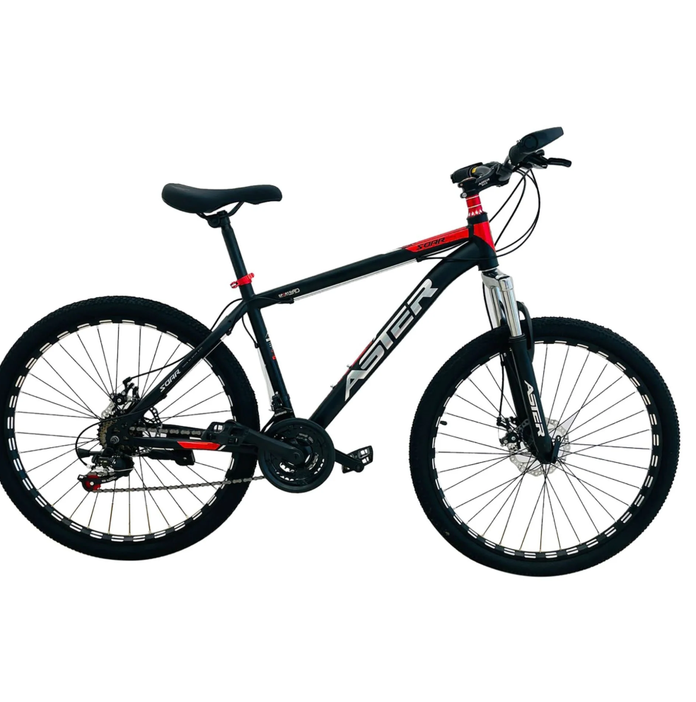 ASTER 29 Inches 21 Gears Slim Tires Bicycle