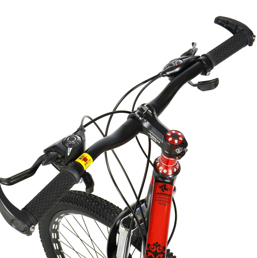 ASTER 29 Inches 21 Gears Slim Tires Bicycle