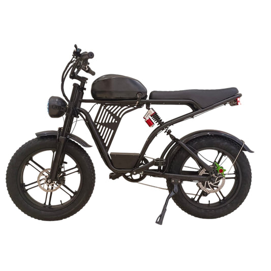 A13 Fat Tires Mountain Bike 