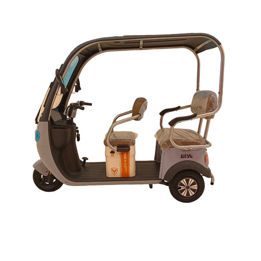 F7C Tri-Wheel Multi-Seater Family Buggy With Roof-GIGILHUB