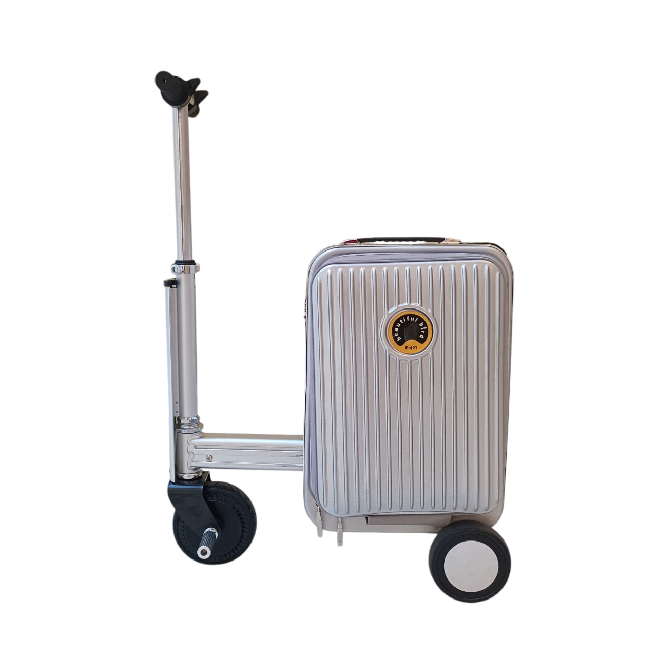 Electric Luggage Rideable Scooter