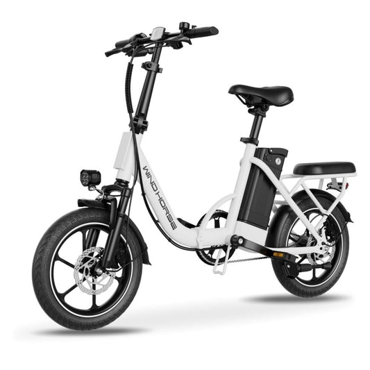 W2B Two Seater Pedal Assisted Foldable E-Bike with Detachable Battery