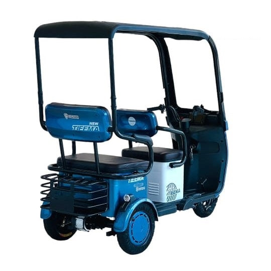 S5 Tri-Wheel E-Scooter with Roof Back view -A
