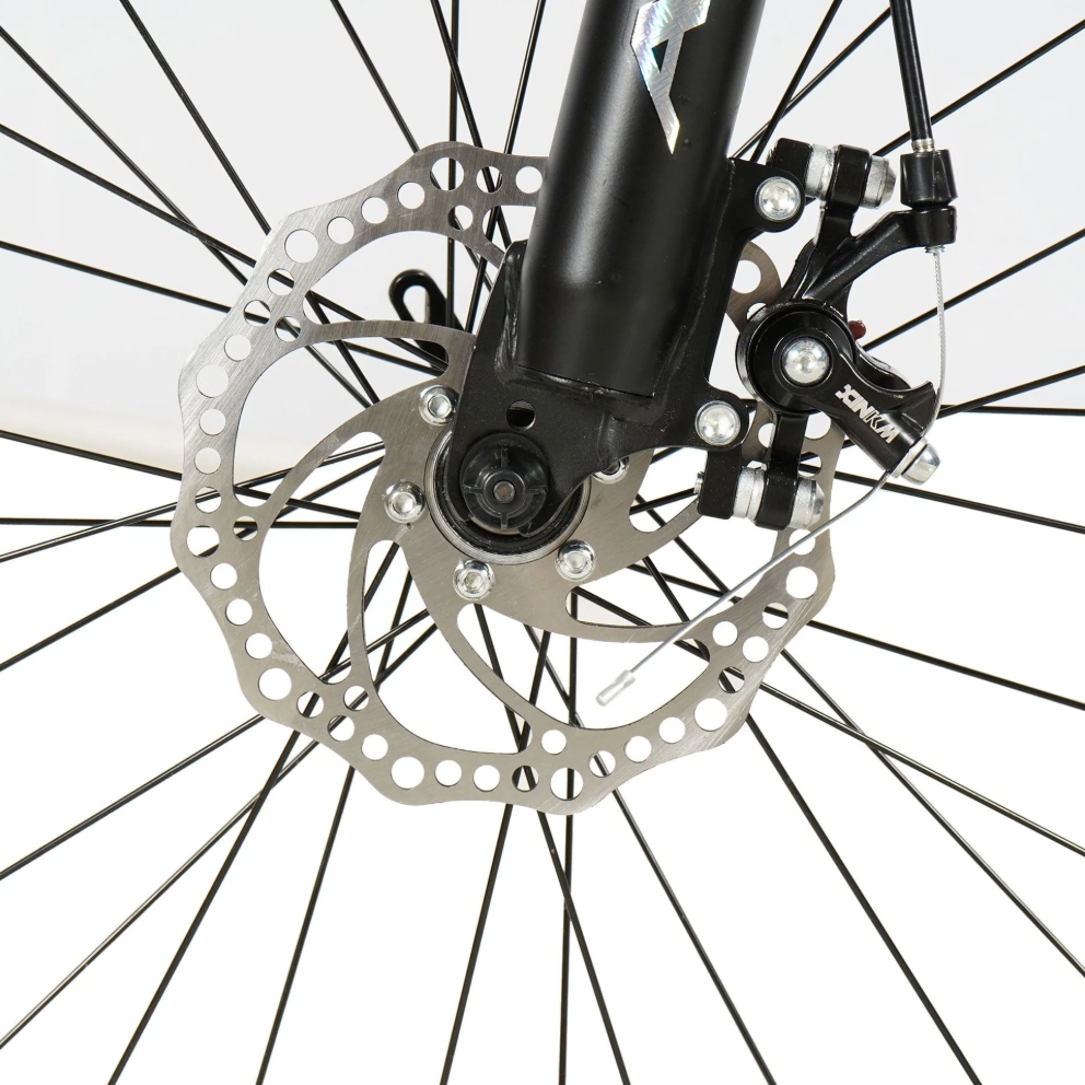ASTER 21 Gears & 26 Inches Mountain Bicycle